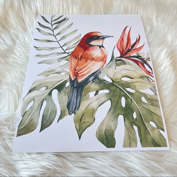 Bee-Eater Bird Watercolor Illustration Wall Art Print Poster Unframed - Picture 13 of 17